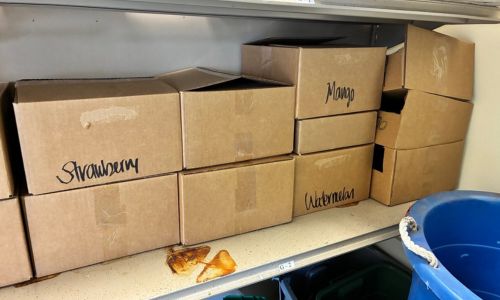 Anniston Police Assist in Operation Southern Shield Investigation, Thousands of Products Seized
