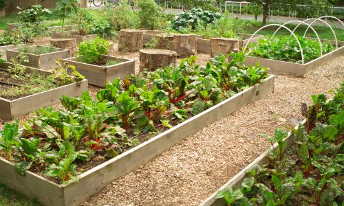 Community Supported Agriculture