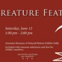 Creature Feature