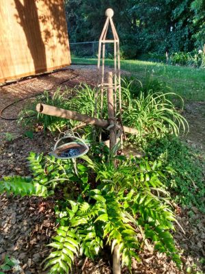 Shrubs & Grasses In Landscapes