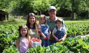 Sweet Traditions Strawberries Sustain Century-Old Farm
