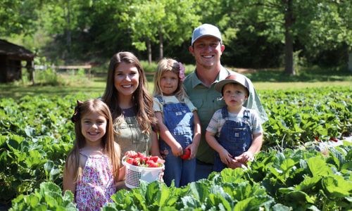 Sweet Traditions Strawberries Sustain Century-Old Farm