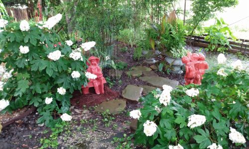 The Joy Of A Shade Garden
