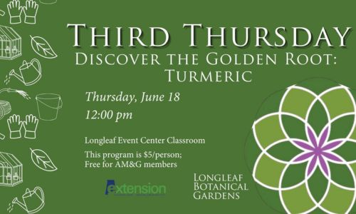 Third thursday