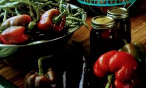 2026 Weather Influences Gardening