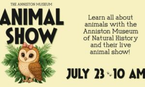 Animal Show