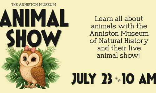 Animal Show
