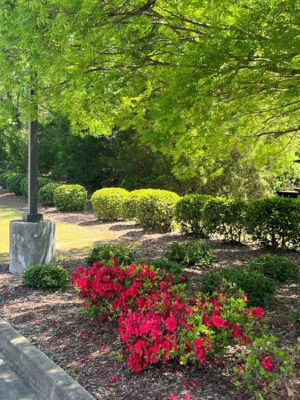 CC Beautification Luncheon