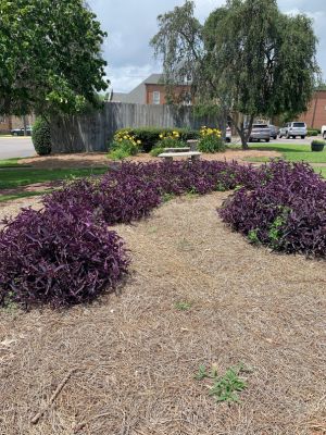 CC Beautification Luncheon