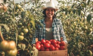 Farm Service Agency to Host Producer Exposition