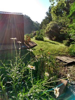 Rustic Country Cottage Garden Themes