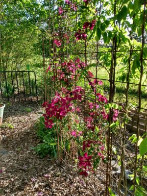 Rustic Country Cottage Garden Themes