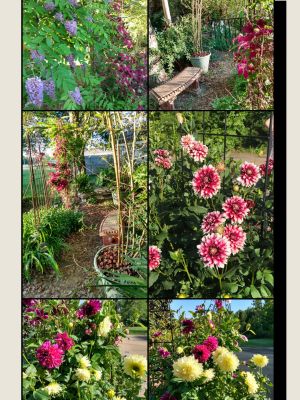 Rustic Country Cottage Garden Themes