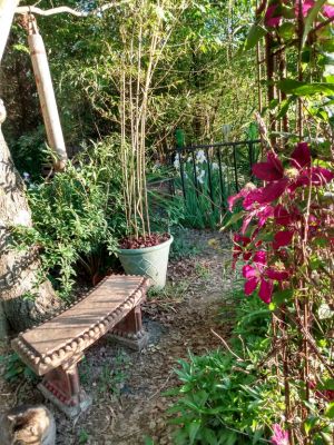 Rustic Country Cottage Garden Themes