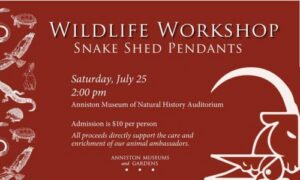 Wildlife Workshops