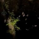 Wing Night at Weaver Cave Preserve