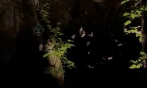 Wing Night at Weaver Cave Preserve