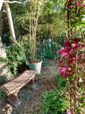 Country Cottage Garden Art
