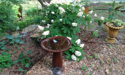 Country Cottage Garden Art