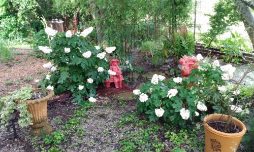 Country Cottage Garden Art