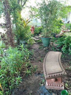 Country Cottage Garden Art