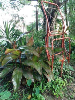 Country Cottage Garden Art