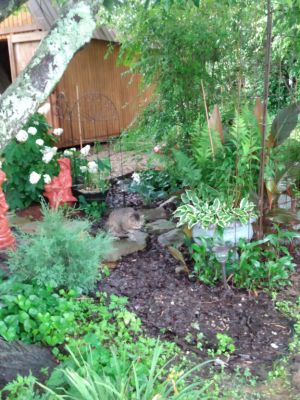 Country Cottage Garden Art