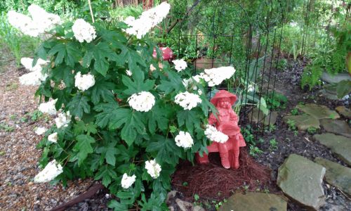 Country Cottage Garden Art