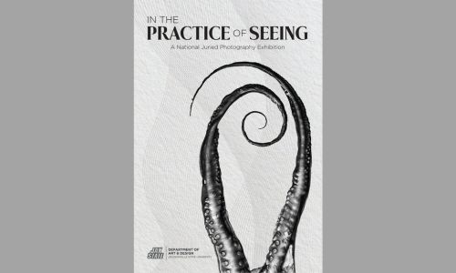 In the Practice of Seeing