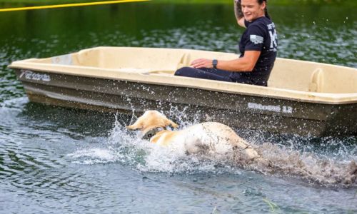 K-9 Olympics
