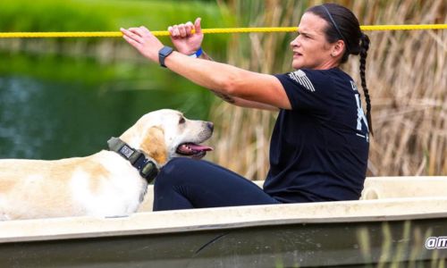 K-9 Olympics