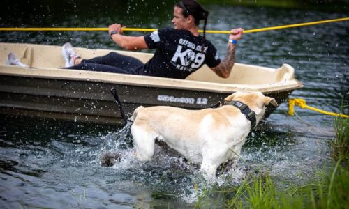 K-9 Olympics