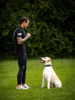 K-9 Olympics