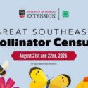 Pollinator fied Day