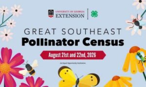 Pollinator fied Day