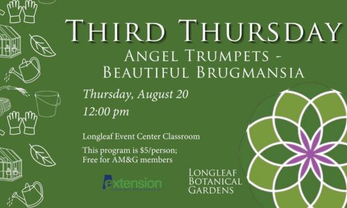 Third Thursday