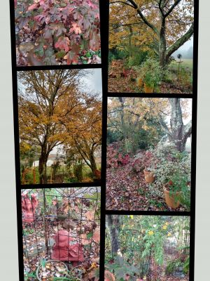 Garden Landscaping With Two 100 Year Old Maple Trees-15