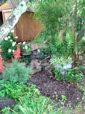 Garden Landscaping With Two 100 Year Old Maple Trees-7