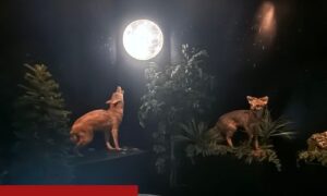 Museum Opening
