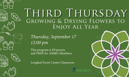 Third Thursday