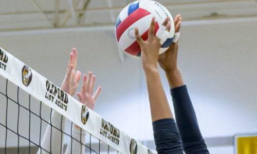 Calhoun County volleyball