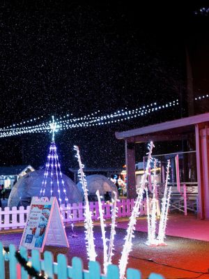 Festival of Lights