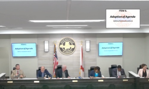Jacksovnille City Council