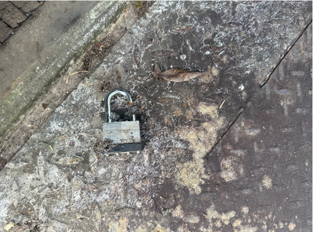 Property Crime