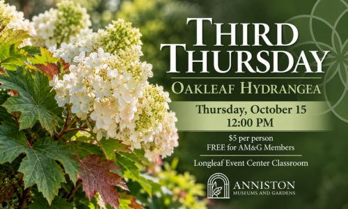 Third Thursday