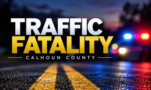 Traffic Fatality